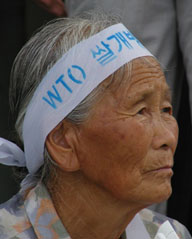 할머니 농민의 이마에서도 WTO 가 박혀있다. 109년 전 이땅의 농민과 무엇이 달라진 것일까? 